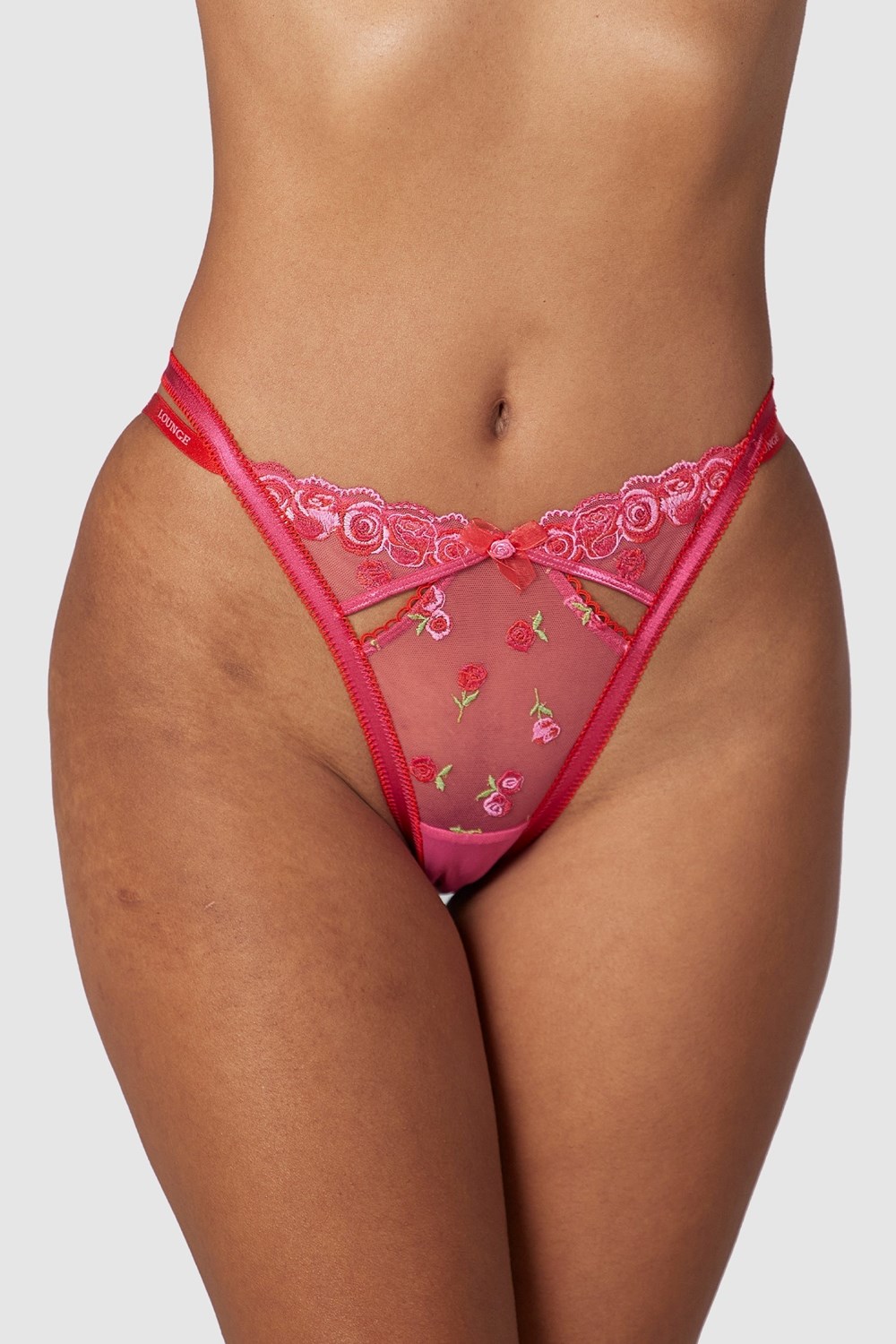 Lounge Underwear Blush Embroidered Briefs Rosa | XZMK-19256